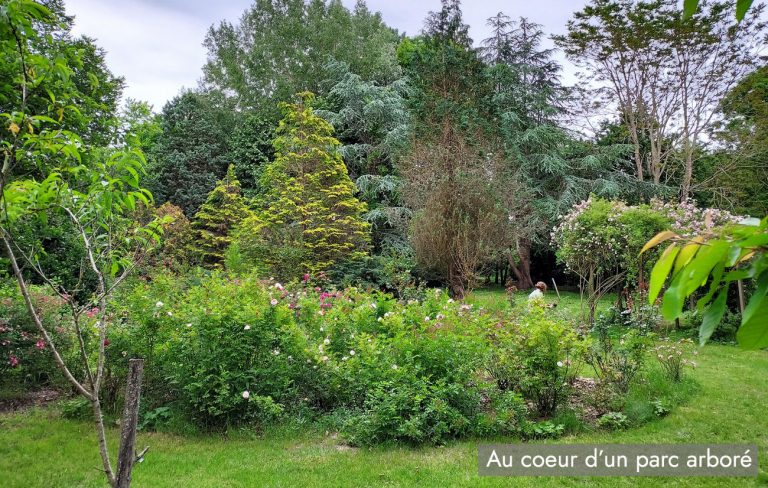 Au coeur d'un parc arboré